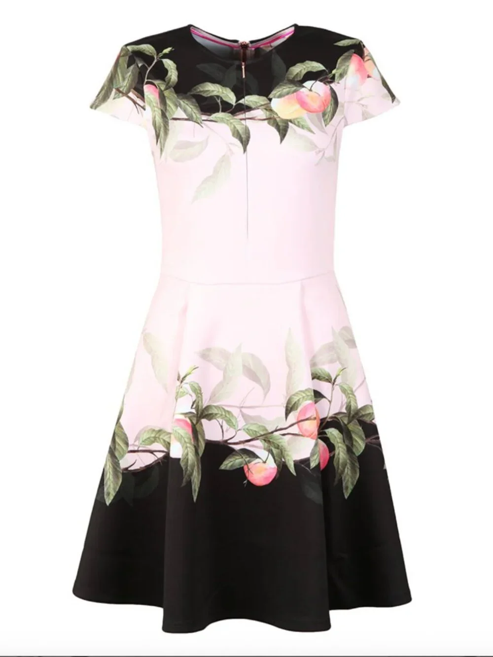 Ted Baker ted baker